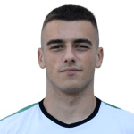 N. Zlatev